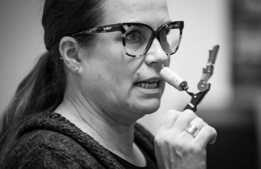 Katsotaanko kuusta…